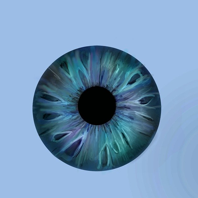 Free download Eye Iris -  free illustration to be edited with GIMP free online image editor