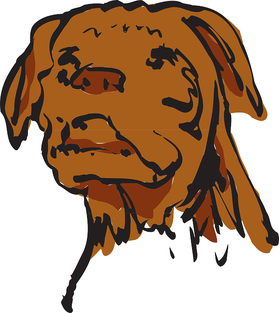 Free download Face Dog Pet - Free vector graphic on Pixabay free illustration to be edited with GIMP free online image editor