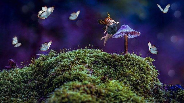 Free download fairy mushroom fantasy moss free picture to be edited with GIMP free online image editor