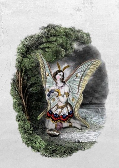 Free download Fairy Vintage Butterfly -  free illustration to be edited with GIMP free online image editor