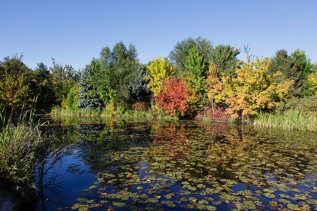 Free download Fall Autumn Pond -  free photo or picture to be edited with GIMP online image editor