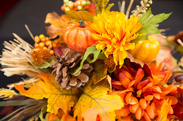 Free download fall flowers thanksgiving flowers free picture to be edited with GIMP free online image editor