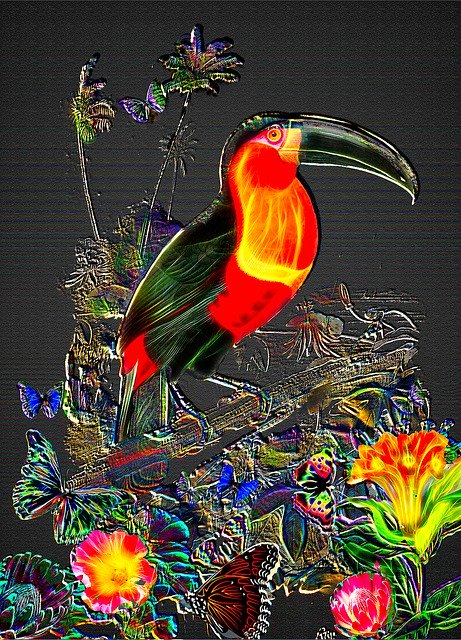 Free download Fantasy Toucan Jungle Background -  free illustration to be edited with GIMP free online image editor