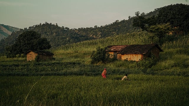 Free download farm agriculture rural women free picture to be edited with GIMP free online image editor