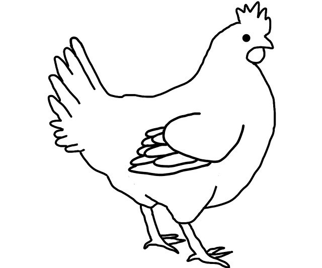 Free download Farm Animals Chicken -  free illustration to be edited with GIMP free online image editor