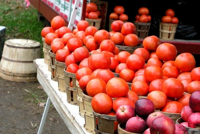 Free download Farmer Market Tomatoes -  free illustration to be edited with GIMP free online image editor