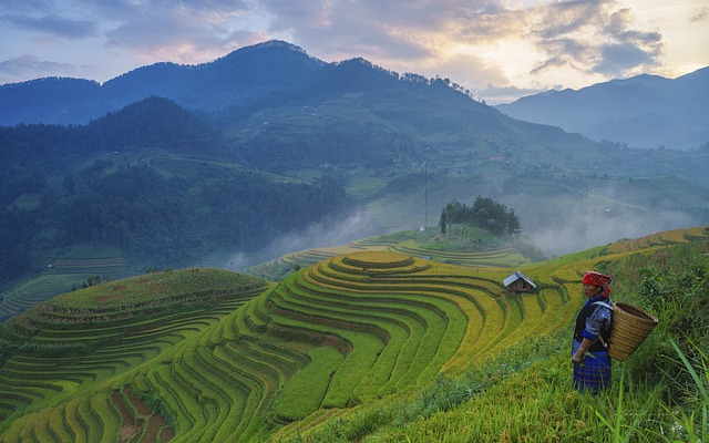 Free download farmer rice terraces mountains free picture to be edited with GIMP free online image editor