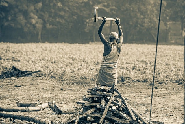 Free download farmer village countryside bihar free picture to be edited with GIMP free online image editor