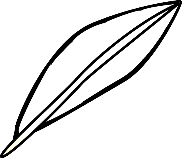 Free download Feather Bird Lightweight - Free vector graphic on Pixabay free illustration to be edited with GIMP free online image editor