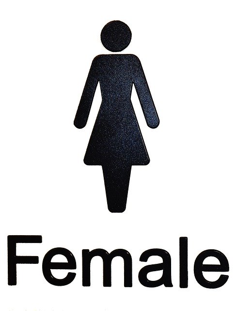 Free download Female Sign Woman -  free illustration to be edited with GIMP free online image editor