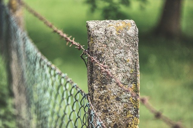 Free download Fence Barbed Wire Post -  free photo or picture to be edited with GIMP online image editor