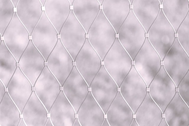 Free download fence barrier background wire free picture to be edited with GIMP free online image editor