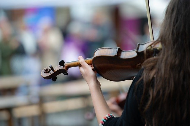 Free download Fiddle Music Musician -  free photo or picture to be edited with GIMP online image editor