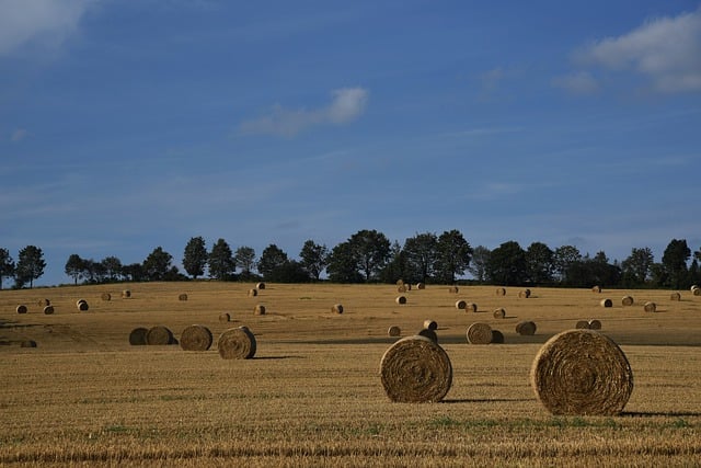 Free download field highlands bales of hay free picture to be edited with GIMP free online image editor