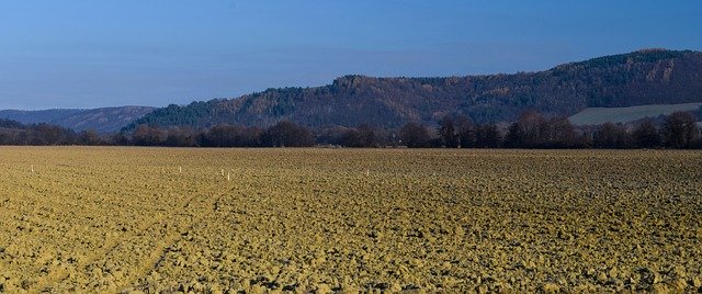 Free download Field Oráčina Forest The -  free photo or picture to be edited with GIMP online image editor