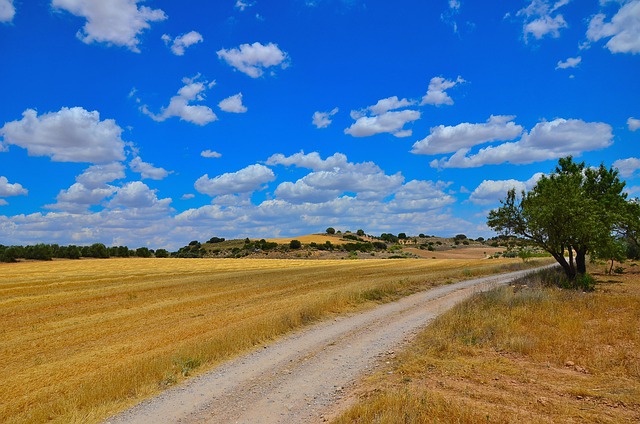 Free download field path landscape nature free picture to be edited with GIMP free online image editor