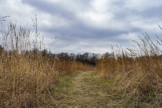 Download grátis Field Prairie Winter - foto ou imagem gratuita para ser editada com o editor de imagens online GIMP