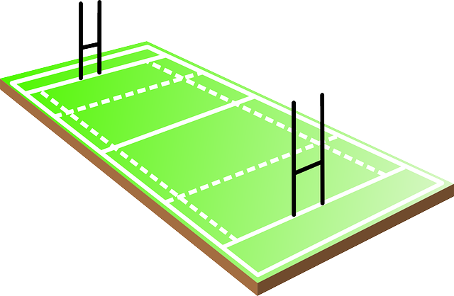 Free download Field Rugby Sport - Free vector graphic on Pixabay free illustration to be edited with GIMP free online image editor