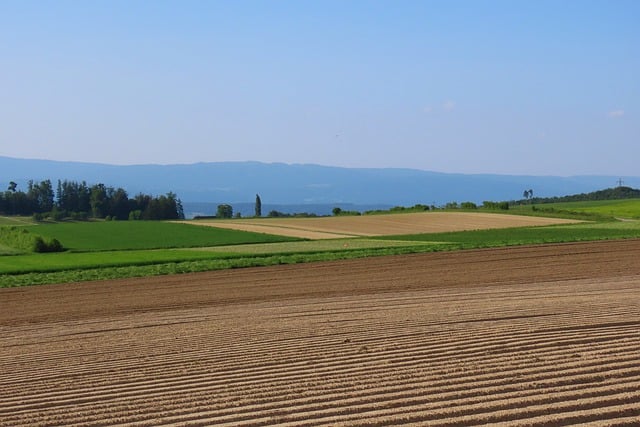 Free download fields agriculture rural nature free picture to be edited with GIMP free online image editor