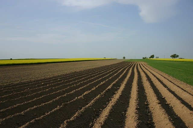 تنزيل Fields Field Agriculture مجانًا - صورة أو صورة مجانية ليتم تحريرها باستخدام محرر الصور عبر الإنترنت GIMP