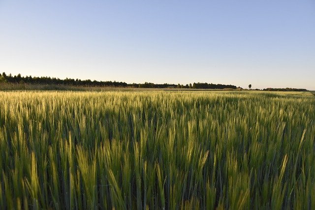 Free download Fields Landscape Nature -  free photo or picture to be edited with GIMP online image editor