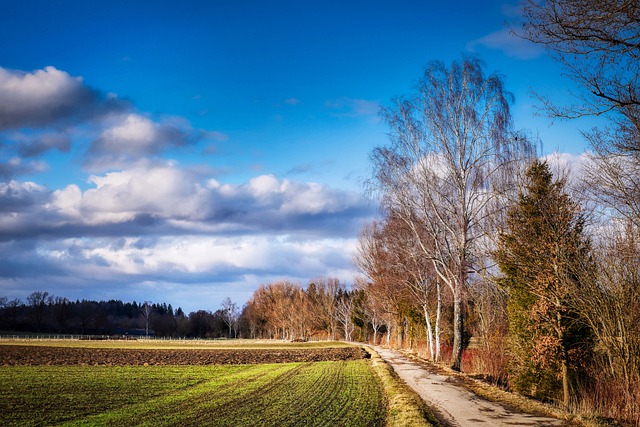 Free download fields path trees nature landscape free picture to be edited with GIMP free online image editor