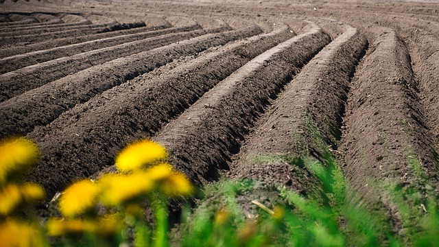 Free download fields rural furrows arable land free picture to be edited with GIMP free online image editor