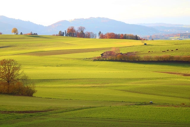 Free download fields rural landscape grasslands free picture to be edited with GIMP free online image editor