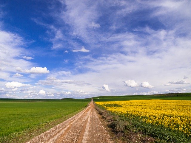 Free download Fields Sky Rural -  free photo or picture to be edited with GIMP online image editor