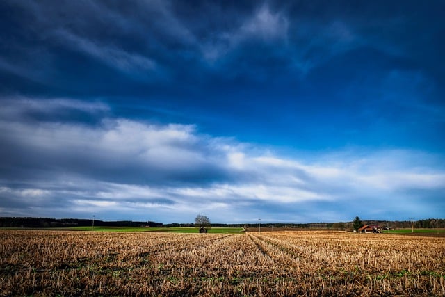 Free download fields stubble clouds horizon free picture to be edited with GIMP free online image editor