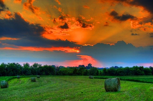 Free download Field Sunset Landscape -  free photo or picture to be edited with GIMP online image editor