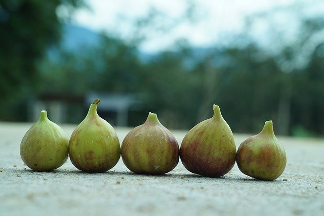 Free download Figs Tropical Agriculture -  free photo or picture to be edited with GIMP online image editor