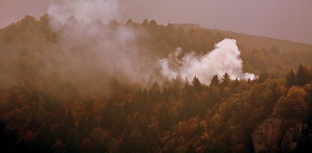 Free download fire forest autumn fog mist free picture to be edited with GIMP free online image editor