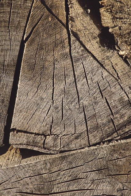 Free download firewood wood weathered trunk free picture to be edited with GIMP free online image editor