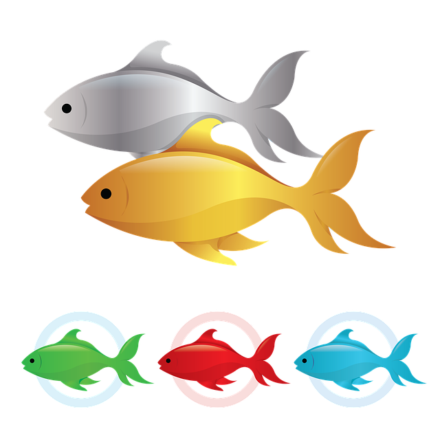 Free download Fish Animal Colorful Logo -  free illustration to be edited with GIMP free online image editor