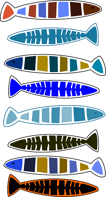 Free download Fish Animals - Free vector graphic on Pixabay free illustration to be edited with GIMP free online image editor