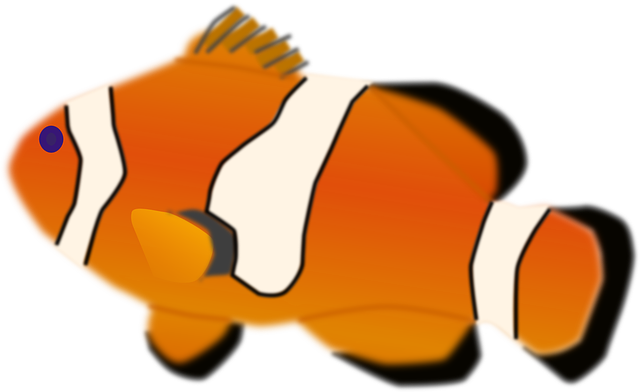 Free download Fish Clown Aquarium - Free vector graphic on Pixabay free illustration to be edited with GIMP free online image editor