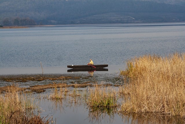 Free download fisherman reeds lake boat canoe free picture to be edited with GIMP free online image editor