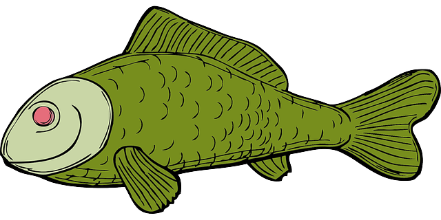 Free download Fish Green Aquatic - Free vector graphic on Pixabay free illustration to be edited with GIMP free online image editor