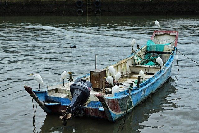 Free download Fishing Boats Ship -  free photo or picture to be edited with GIMP online image editor