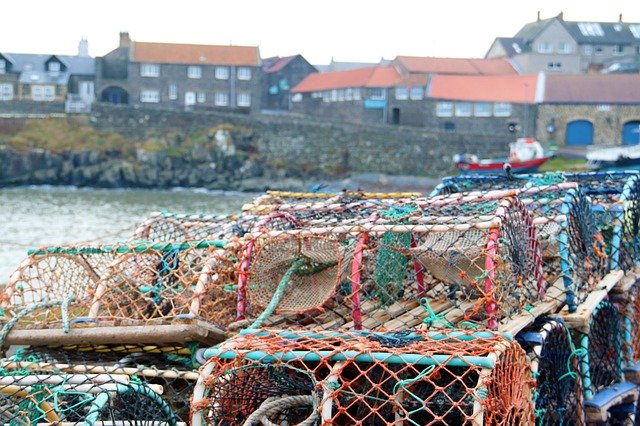 Free download Fishing Coast Lobster -  free photo or picture to be edited with GIMP online image editor