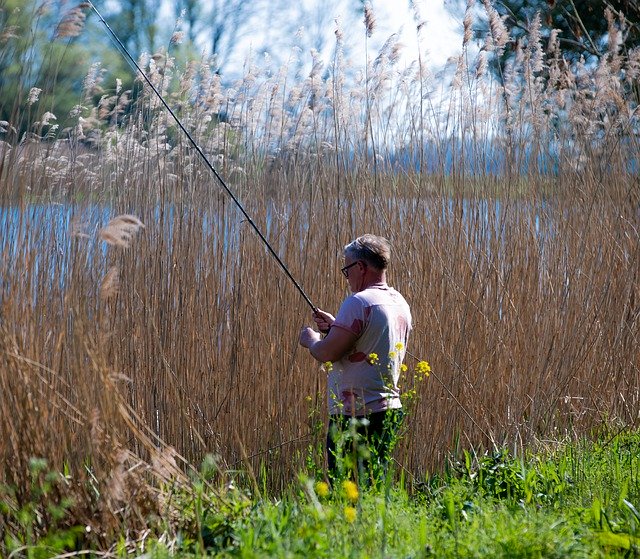 Free download Fishing Nature Water -  free photo or picture to be edited with GIMP online image editor