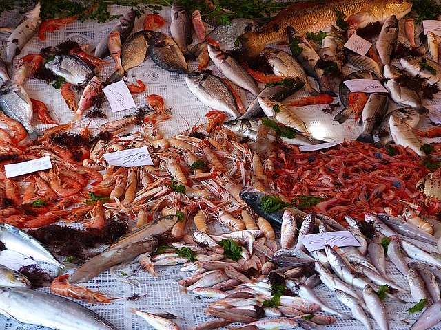 Free download Fish Market Sicily -  free photo or picture to be edited with GIMP online image editor