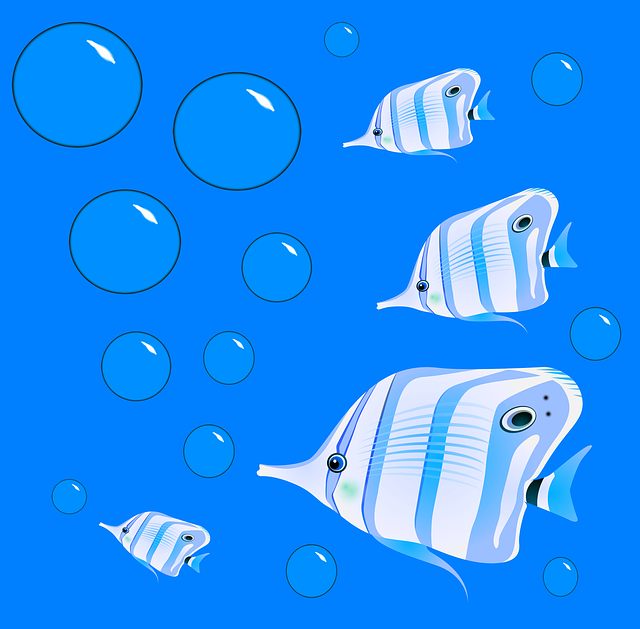 Free download Fish School Bubbles -  free illustration to be edited with GIMP free online image editor