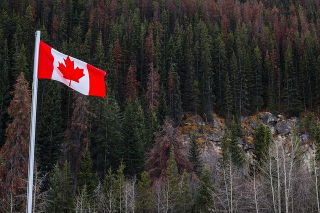 Free download Flag Forests Canada -  free photo or picture to be edited with GIMP online image editor