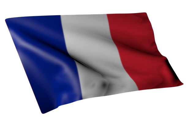 Flagge Frankreich Französisch von OffiDocs für das Büro