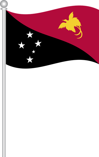 Free download Flag Of Papua New Guinea - Free vector graphic on Pixabay free illustration to be edited with GIMP free online image editor