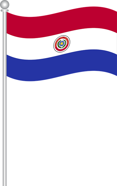 Free download Flag Of Paraguay - Free vector graphic on Pixabay free illustration to be edited with GIMP free online image editor