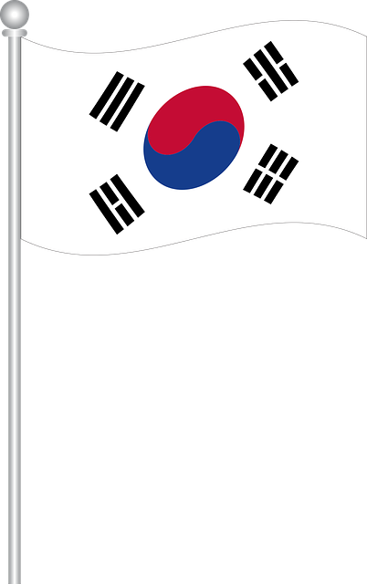 Download gratuito Bandiera Della Corea Del Sud Bandiere - Grafica vettoriale gratuita su Pixabay Illustrazione gratuita per essere modificata con GIMP editor di immagini online gratuito