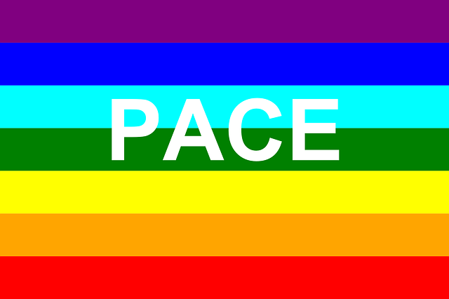 Free download Flag Pace Rainbow - Free vector graphic on Pixabay free illustration to be edited with GIMP free online image editor